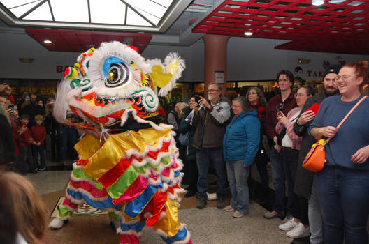 Kwan Lion Dance III