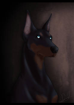 Doberman