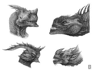 Dragon Head Study Pencil 2