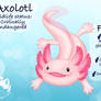 Axolotl Fox Info