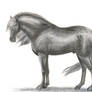 Percheron Stallion(Subtractive Drawing)