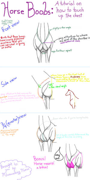 Horse Boobs 101: A tutorial