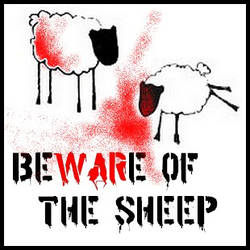 beware fo the sheep