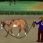 Lunge Line by RimrockRanchEC