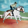 Ghostly Fellow - flat racing