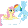 Fluttershy and Rainbow Dash