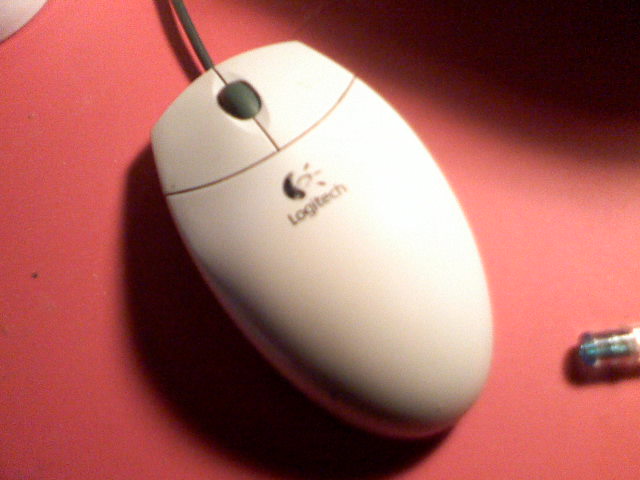 Mouse