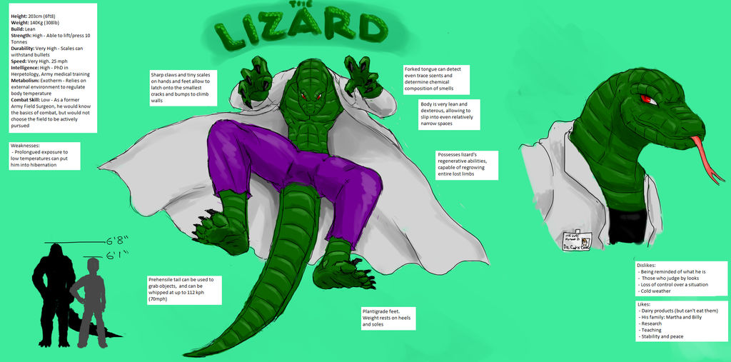 Lizard Character sheet by zzzyyxas on DeviantArt