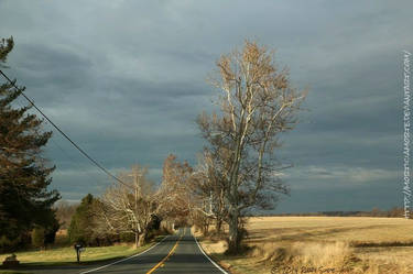 Winter Sky