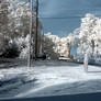 Looking up the road in IR