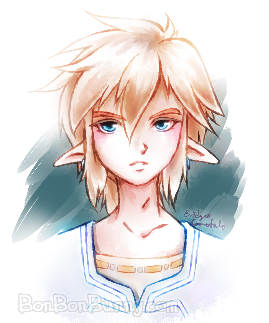 Breath of the Wild Link