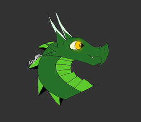 Little Dragon Test