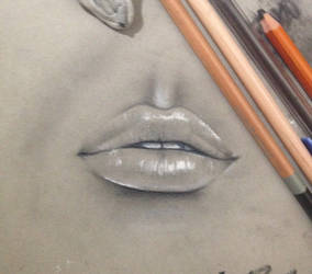 Lip Study