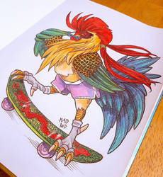 Skatepark Rooster