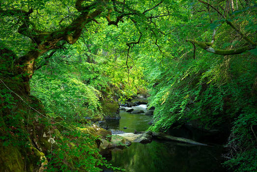 River Lednock, Scotland