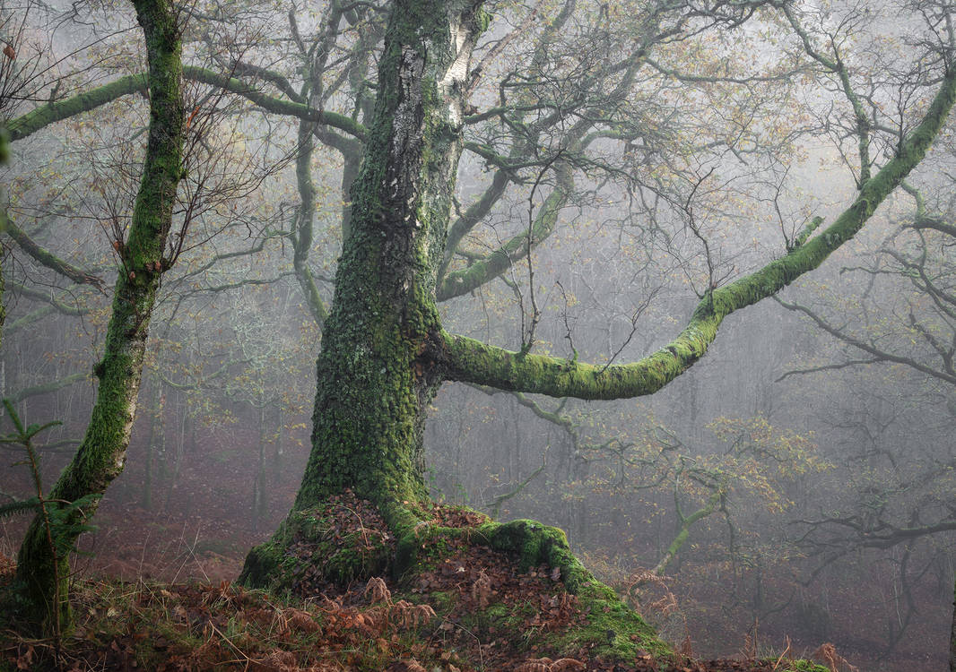 The sentinel by LindaCubali on DeviantArt