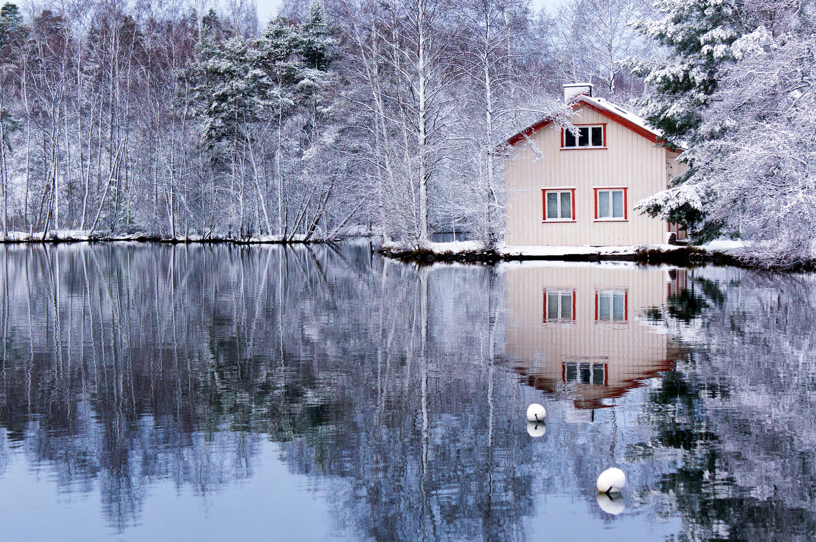 First Snow