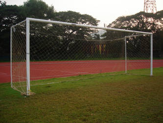 Goal Post