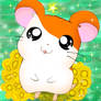 Hamtaro Comeback