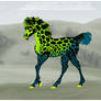 Foal Design | Viatrix