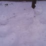 Frosty vs Beholder 2
