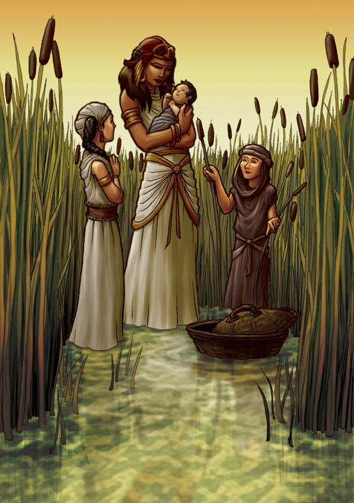 Bull Rushes Drawings Bulrushes by eikonik on DeviantArt