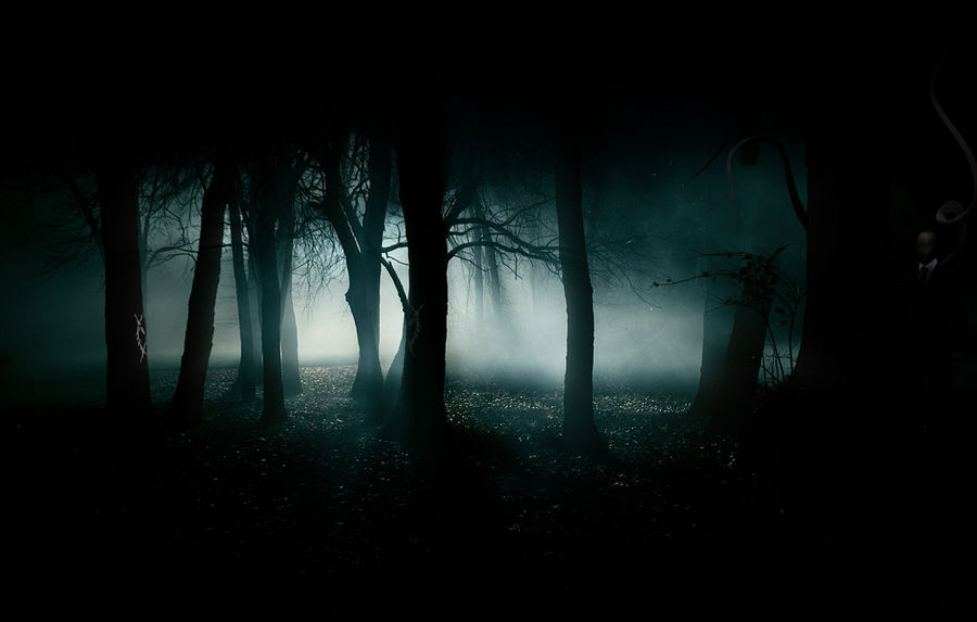 Slender Forest #2