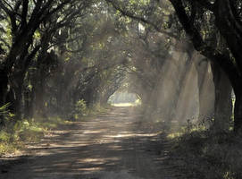 Dusty Road