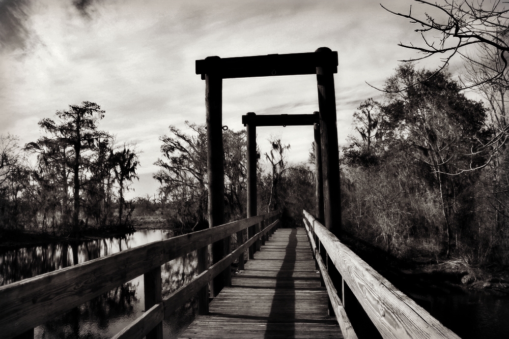 Across the Dismal Swamp