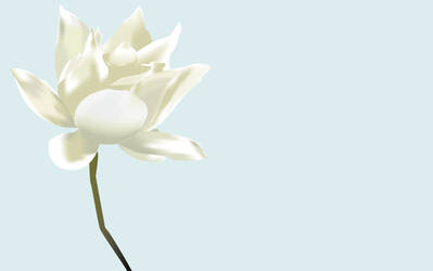 Lotus Blossom Gradient Mesh
