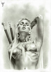 The Last Valkyrie by jairolago