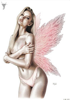 FAERIES XIV (A Fantasy Pin Up Collection)