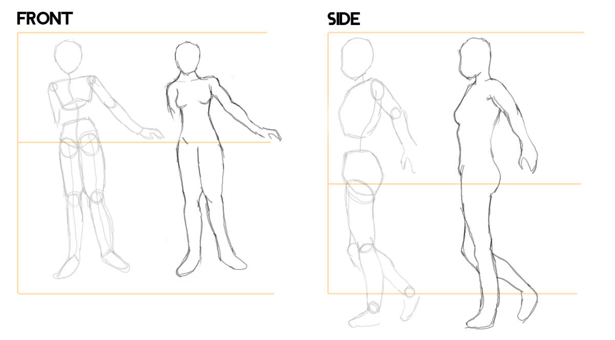 Anime Female Anatomy by xXSIDKIDXx on DeviantArt