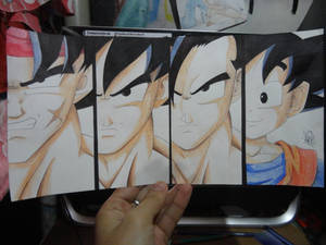 Dragon Ball Goku Family