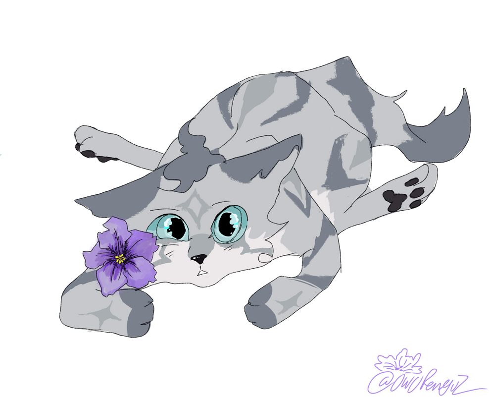 Violetkit Violet bb by OwOPenguz on DeviantArt