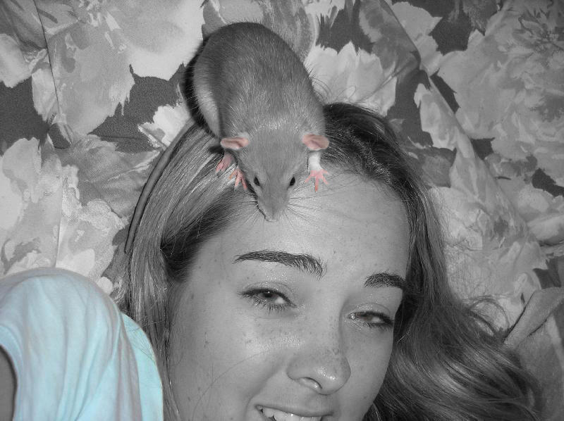 Karen and the Rat by JL71357 on DeviantArt