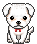 Labrador Retiever