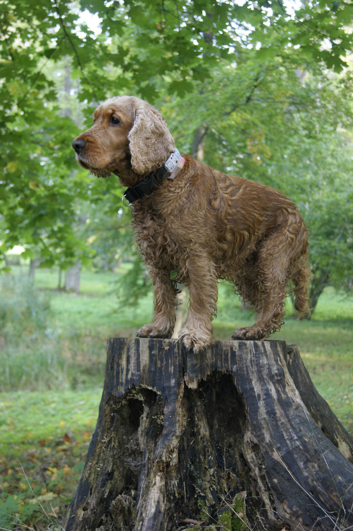 kin as lookout by Evil-Ylle on DeviantArt