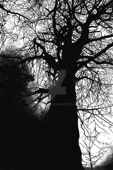 Dark Tree