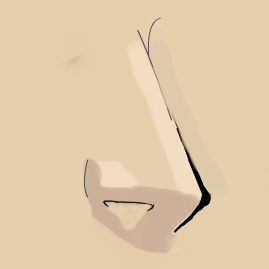 Cartoony Nose