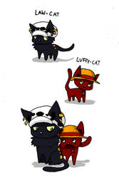 Luffy and Law cat