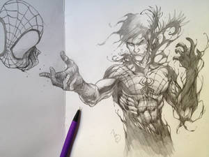 Spiderman sketch