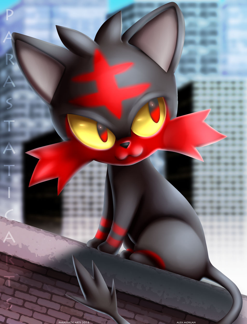 Litten Views the City