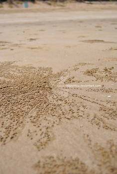 Oman - Sand Balls