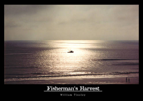 Fisherman's Harvest