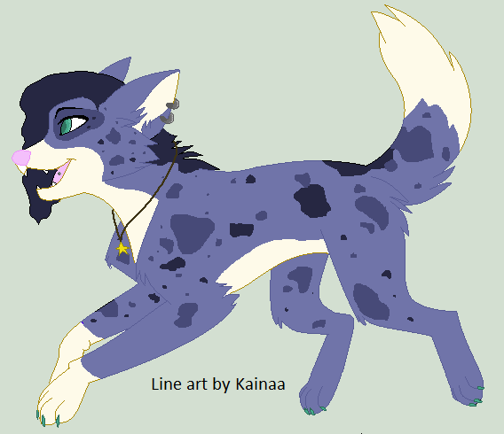 Canine Adoptable - AUCTION OPEN