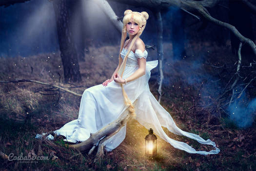 Princess Serenity (Sailor Moon) III