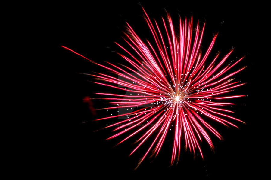 Pink Firework Flower pink flower firework by volleygirl29210 on DeviantArt