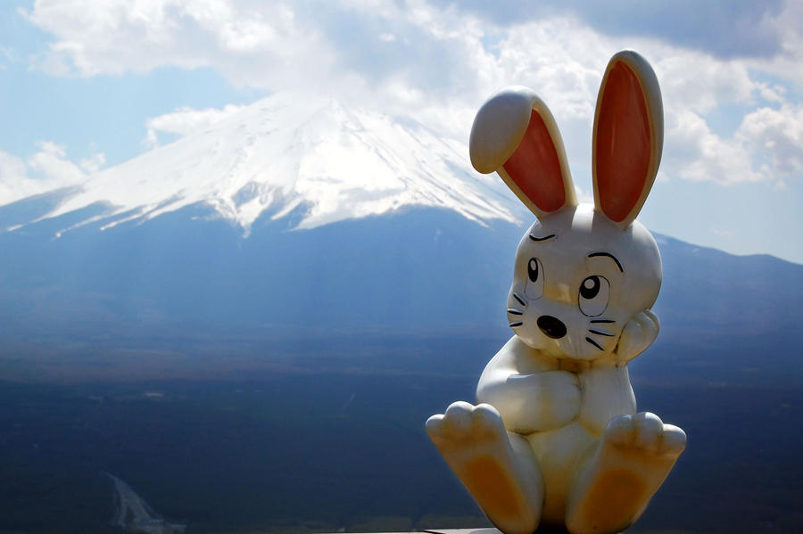 Fuji + Rabbit by whitewashdesign on DeviantArt