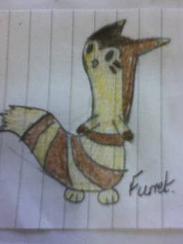 Furret